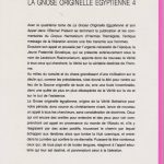 La Gnose originelle égyptienne Tome 4