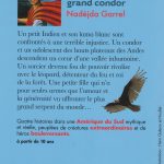 Au pays du grand condor