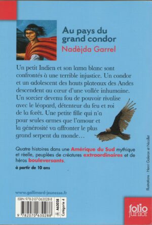 Au pays du grand condor