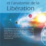 Le cerveau et l'anatomie de la Libération