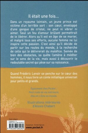 Livre Coeur de cristal - Frédéric Lenoir retro