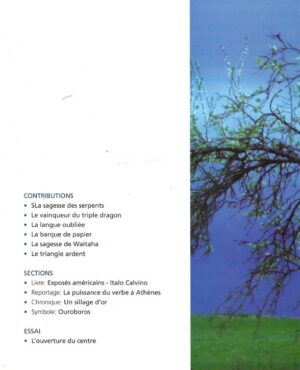Pentagramme 2016-2 - Comme une tempête impétueuse, l'esprit propulse chaque homme à un éveil gnostique profond – Image 2