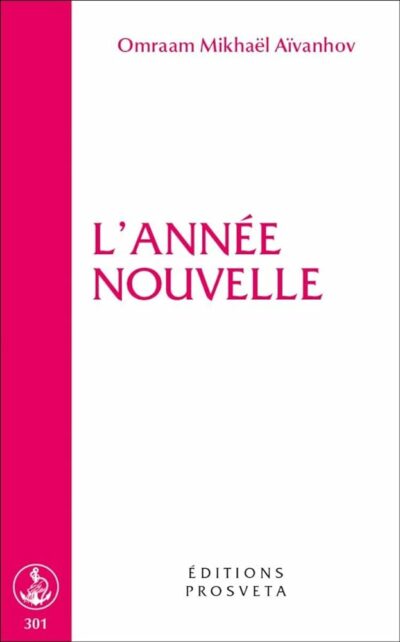 Livre L'année nouvelle - Aivanhof