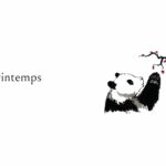 Livre Grand Panda et Petit Dragon - James Norbury - intérieur 1