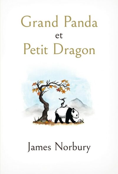 Livre Grand Panda et Petit Dragon - James Norbury - recto
