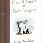 Livre Grand Panda et Petit Dragon - James Norbury - rendu