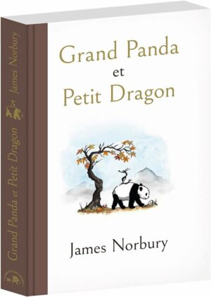Livre Grand Panda et Petit Dragon - James Norbury - rendu