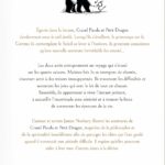 Livre Grand Panda et Petit Dragon - James Norbury - verso